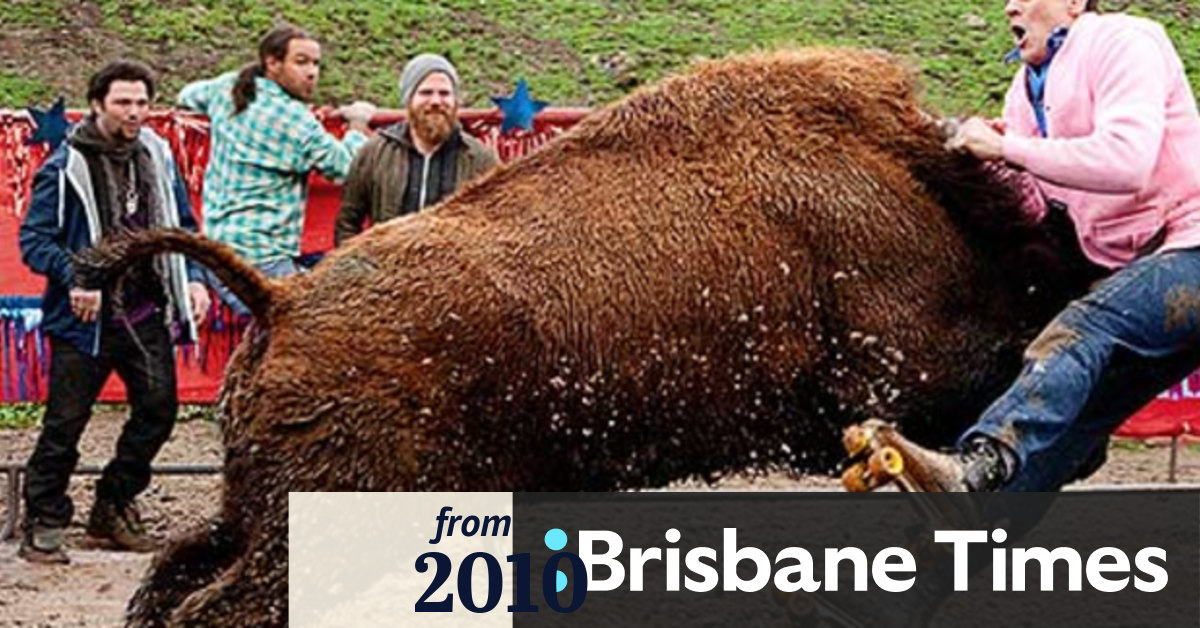 Pondering the deeper meaning of Jackass